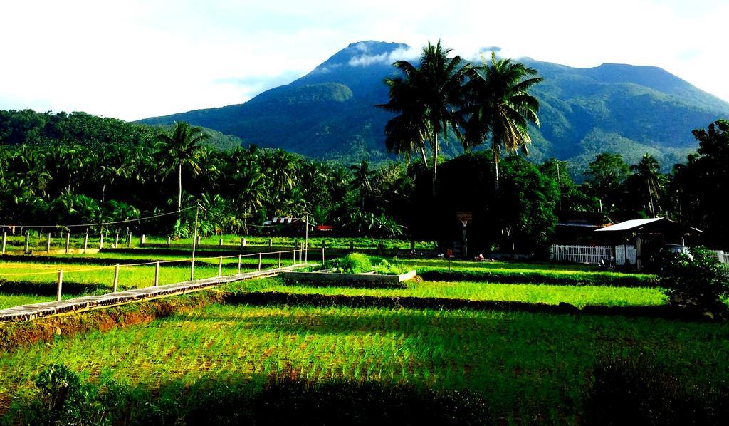 Guerrera Rice Paddy Villas Mambajao Luaran gambar