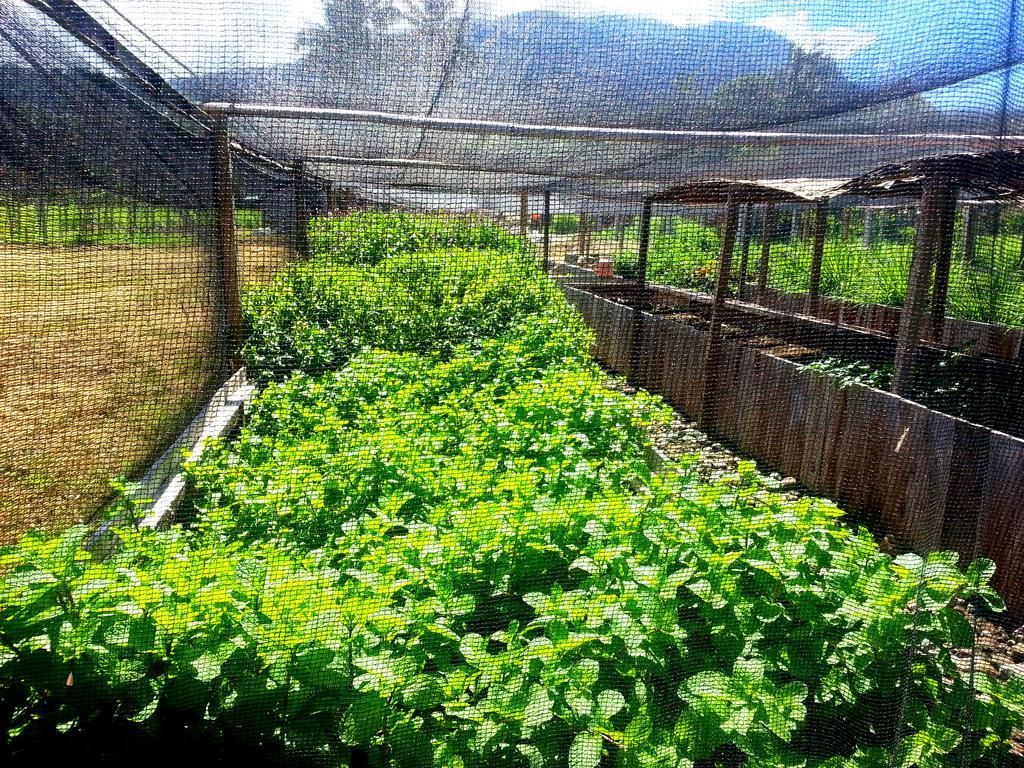 Guerrera Rice Paddy Villas Mambajao Luaran gambar
