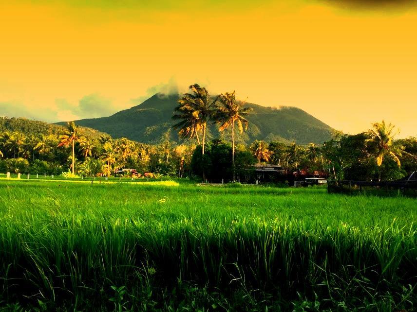 Guerrera Rice Paddy Villas Mambajao Luaran gambar