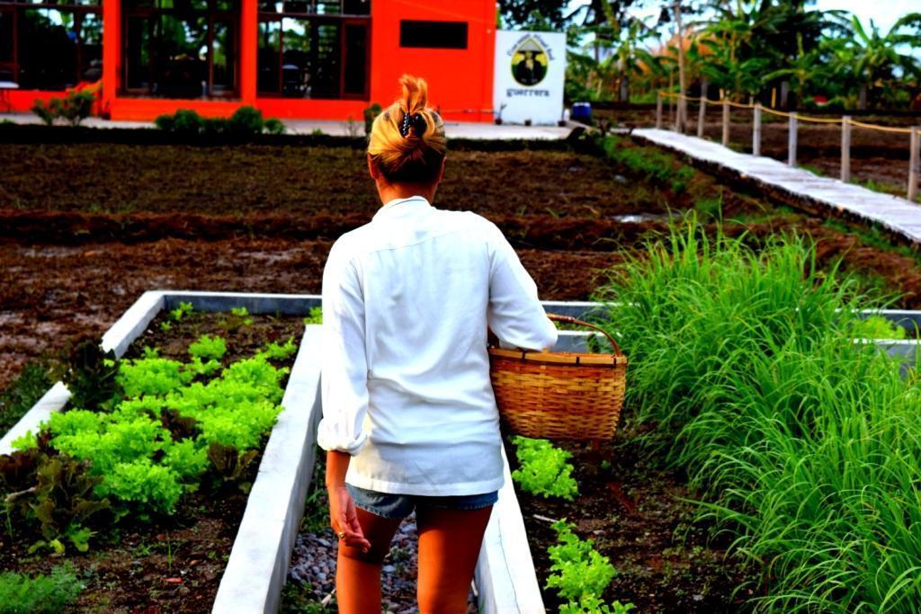 Guerrera Rice Paddy Villas Mambajao Luaran gambar