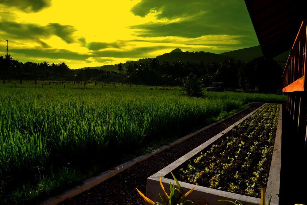 Guerrera Rice Paddy Villas Mambajao Luaran gambar
