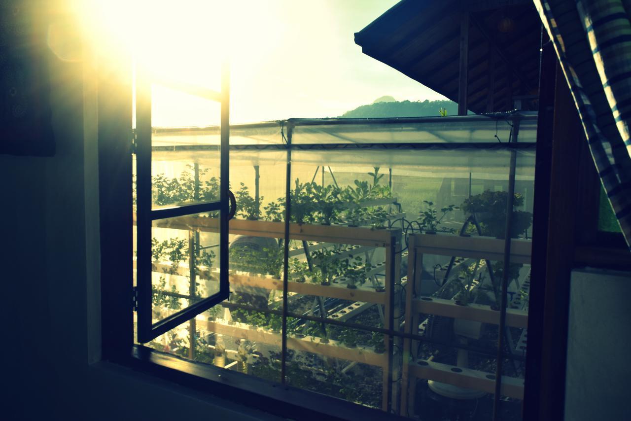 Guerrera Rice Paddy Villas Mambajao Luaran gambar